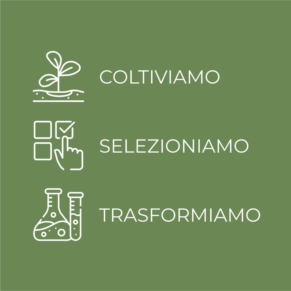 SOL Argan - Crema solare viso - antiet&agrave; antimacchie '' tocco asciutto opacizzante - con olio di Argan e Vitamina E - SPF30 protezione alta - water resistant - pelli miste