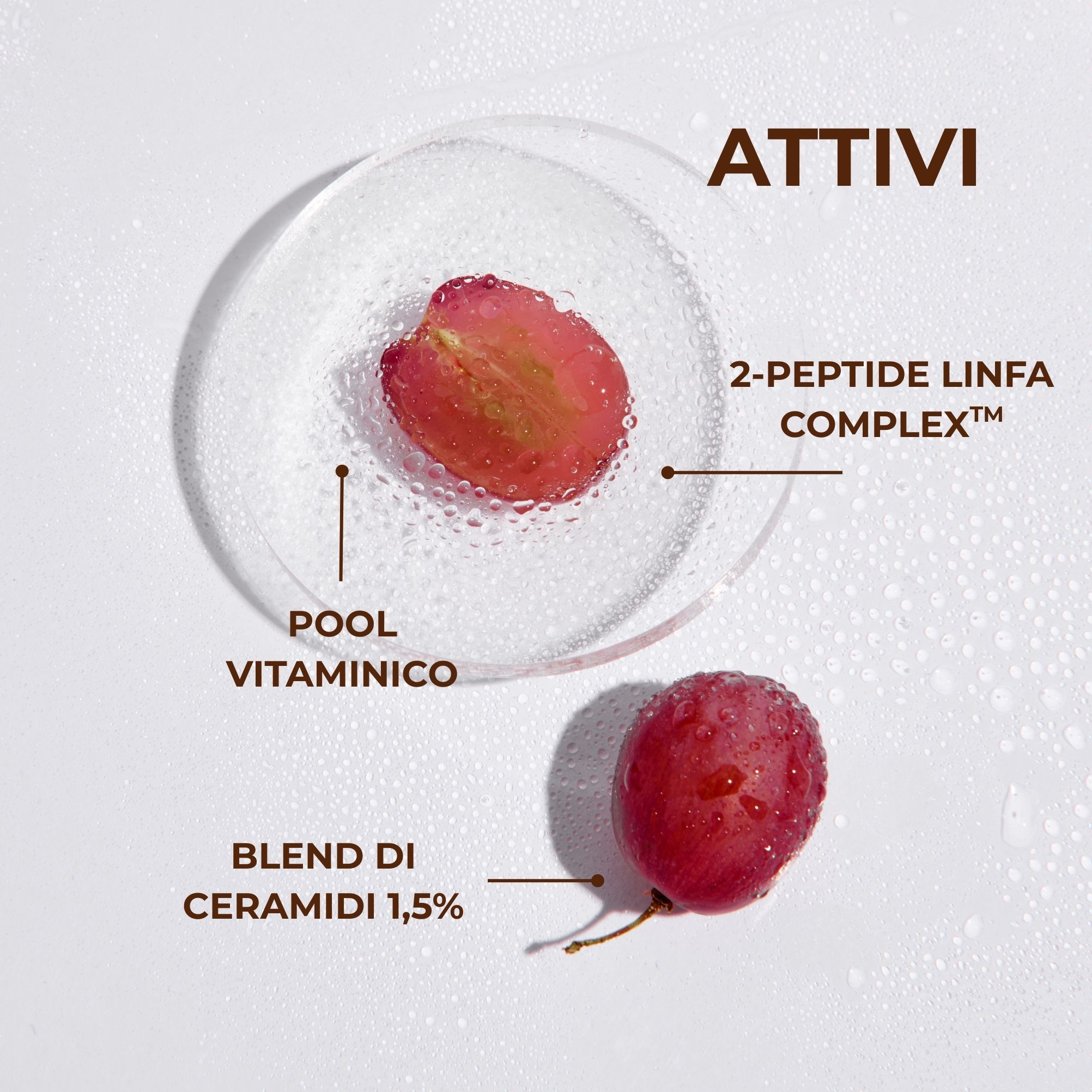 Linfa di Vite - Il Fluido sublime - Siero viso notte - intensivo antirughe - 2-PEPTIDE LINFA COMPLEX<TM/> con Peptidi e Linfa di Vite - tutti i tipi di pelle
