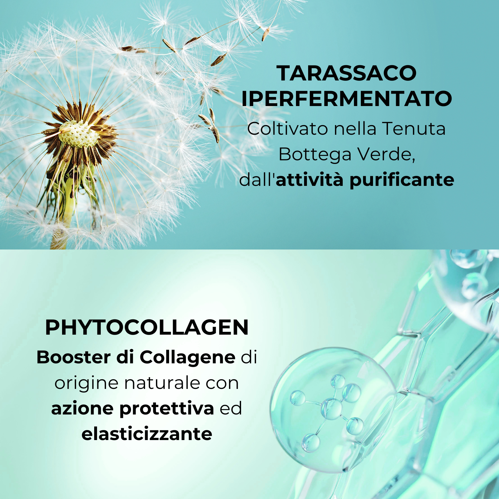 Phytocollagen e Tarassaco iperfermentato - Spray - booster di volume - capelli fini e sottili