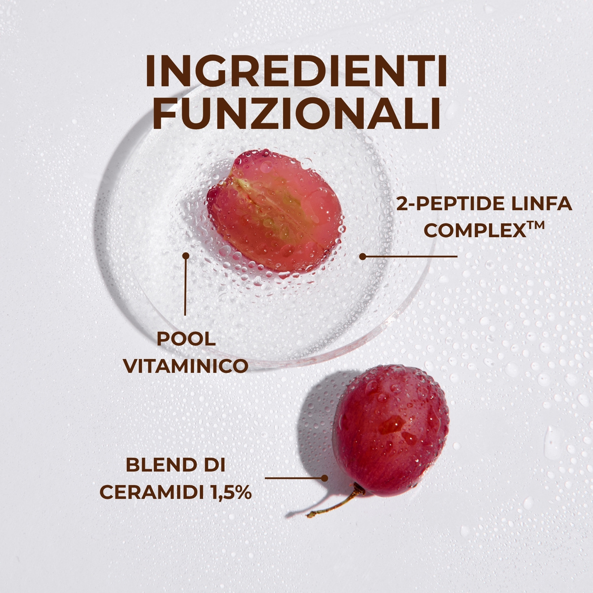 Linfa di Vite - Il Fluido sublime - Siero viso notte - intensivo antirughe - 2-PEPTIDE LINFA COMPLEX<TM/> con Peptidi e Linfa di Vite - tutti i tipi di pelle