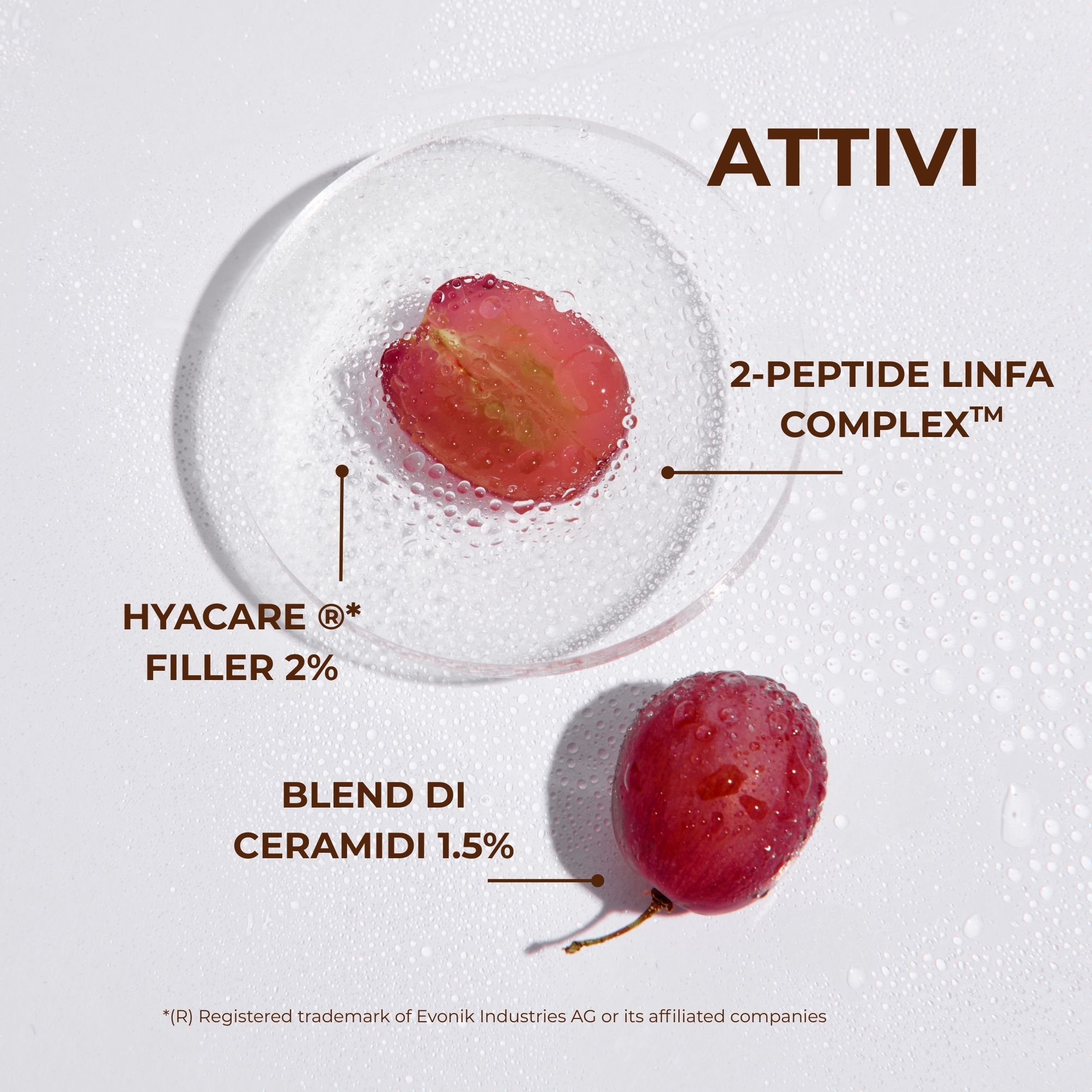 Linfa di Vite - Il Siero sublime - Siero viso e collo - azione su microrughe e rughe del collo - 2-PEPTIDE LINFA COMPLEX<TM/> con Peptidi e Linfa di Vite - tutti i tipi di pelle