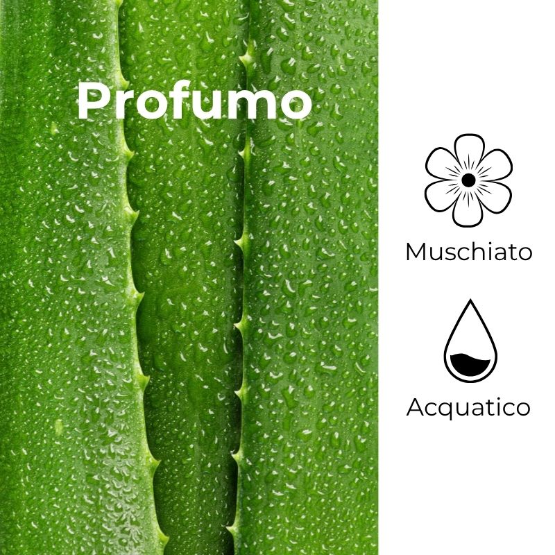SOL Aloe Acido Ialuronico - Crema solare viso - super idratante - con succo di Aloe iperfermentato e Acido Ialuronico - protezione alta SPF50 - water resistant