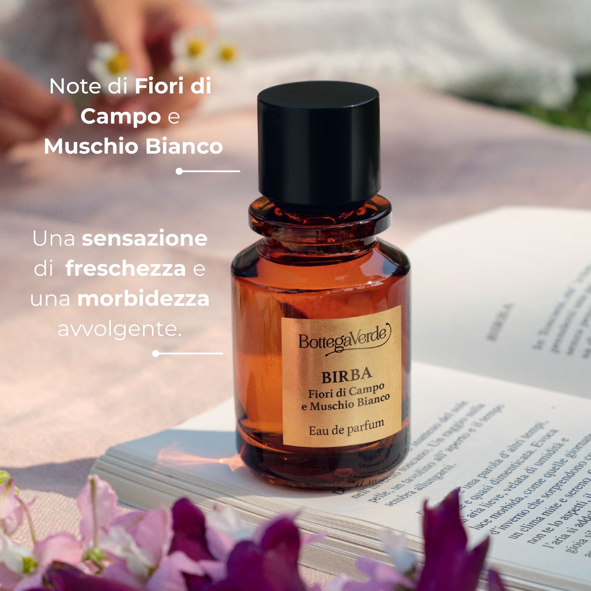 Birba -  FIORI DI CAMPO E MUSCHIO BIANCO - Eau de Parfum