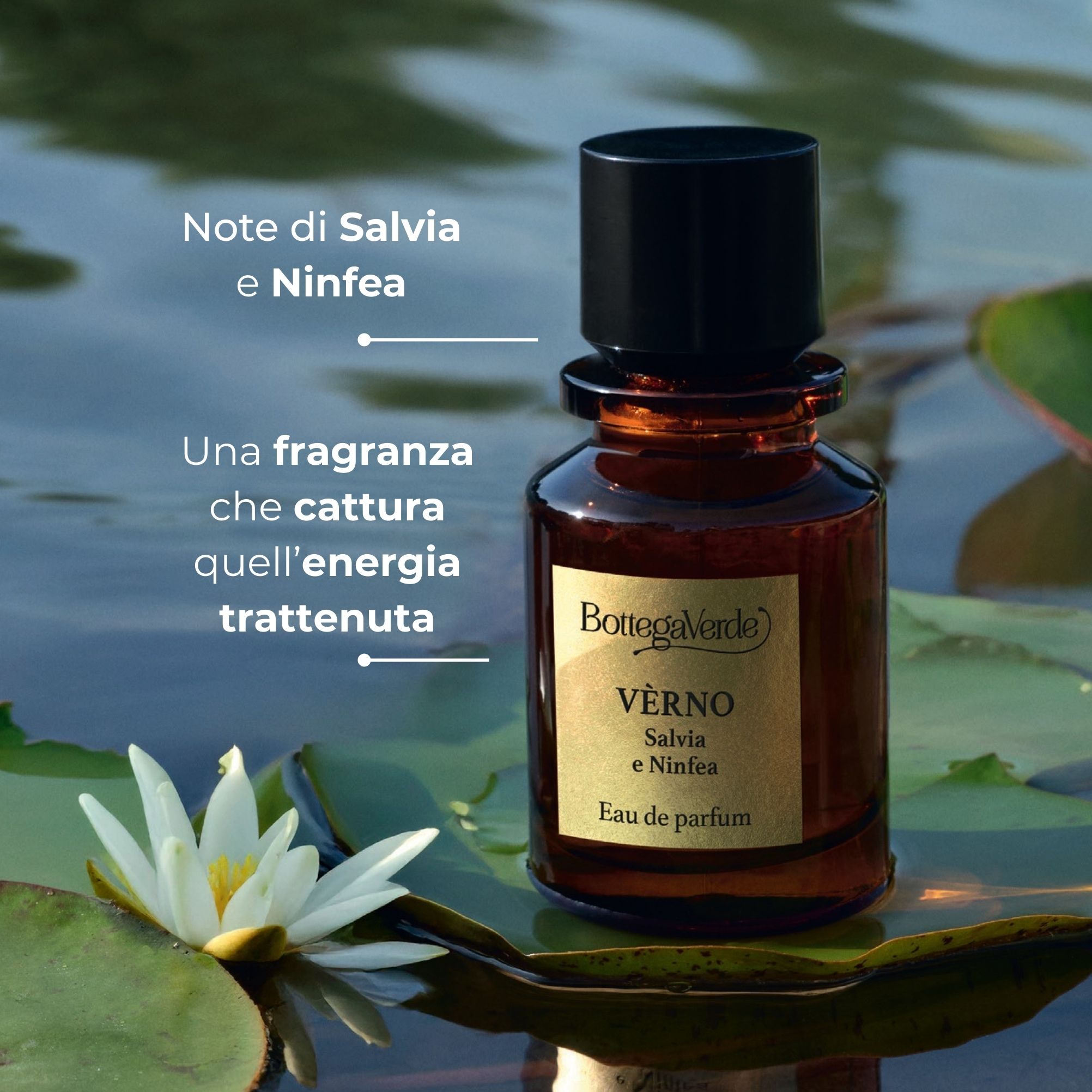 Vèrno - SALVIA E NINFEA - Eau de Parfum