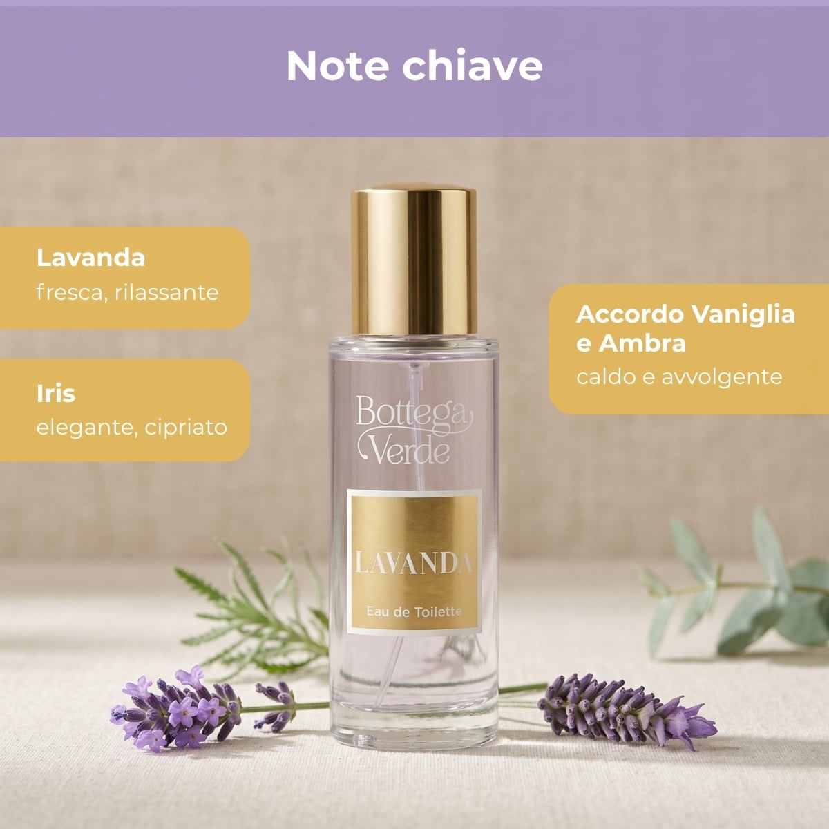 Lavanda - Eau de toilette