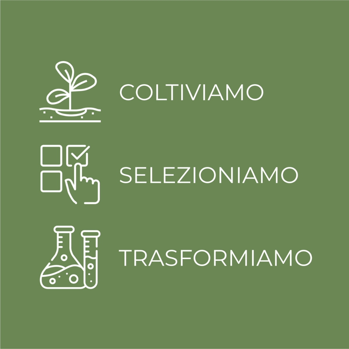 SOL Argan - Crema solare viso - antiet&agrave; antimacchie '' tocco asciutto opacizzante - con olio di Argan e Vitamina E - SPF30 protezione alta - water resistant - pelli miste