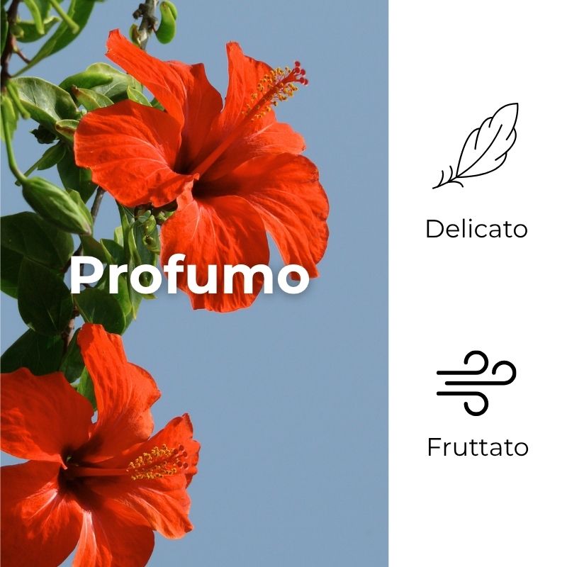 SOL Ibisco Argan - Crema solare - protegge ed esalta l'abbronzatura - con olio di Ibisco e olio di Argan - protezione media SPF20