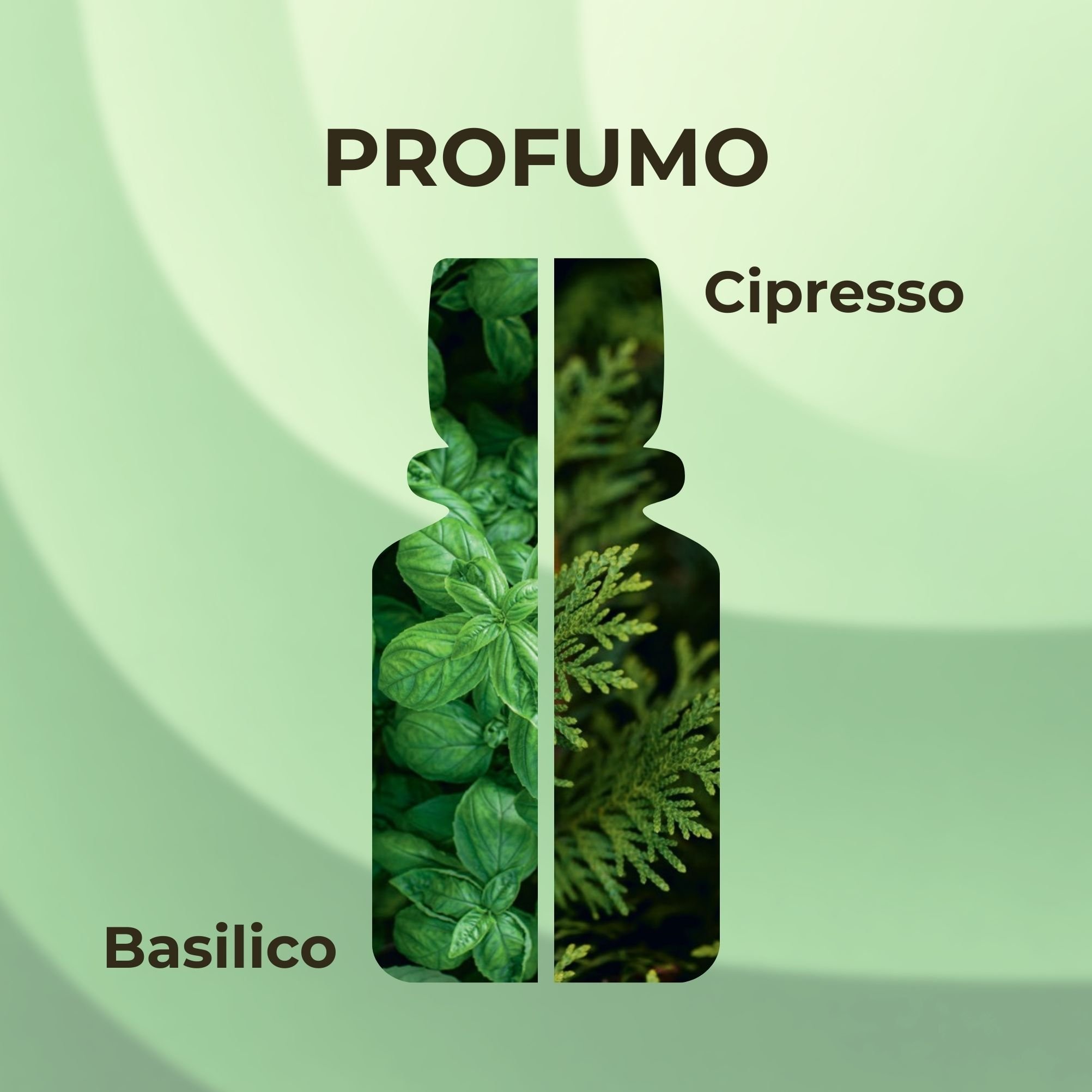 Pòggio - BASILICO E CIPRESSO - Eau de Parfum