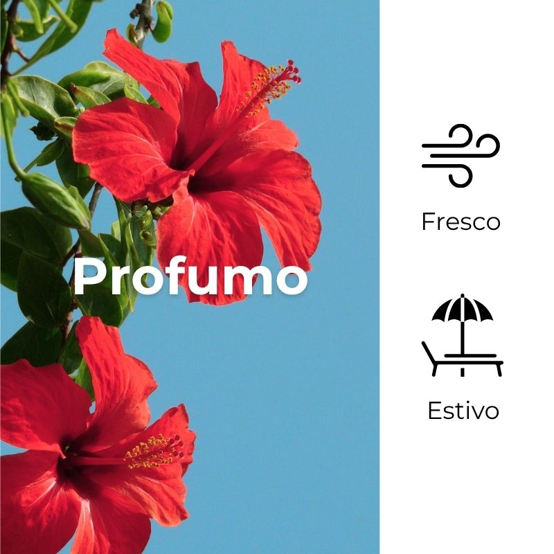 SOL Ibisco Argan - Latte pre e dopo sole - viso e corpo - prepara e prolunga l'abbronzatura - con olio di Ibisco e olio di Argan - pre e dopo sole - senza filtri solari