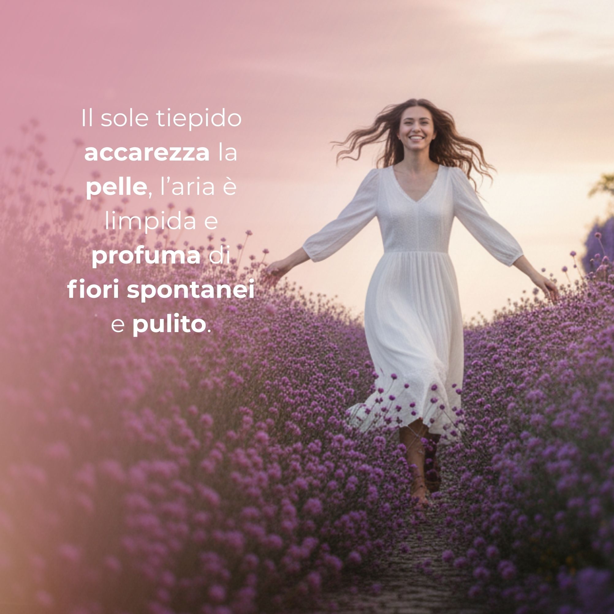 Birba -  FIORI DI CAMPO E MUSCHIO BIANCO - Eau de Parfum