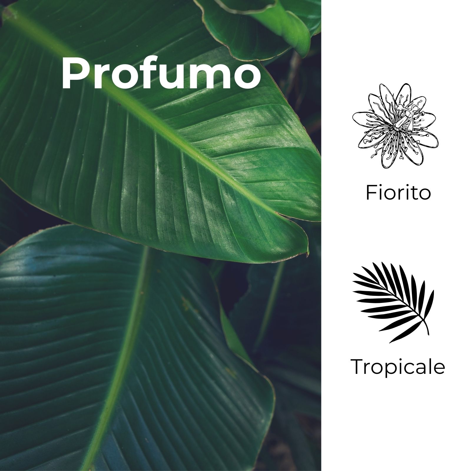 SOL Tropical - Gelée fondente - abbronzatura dorata e uniforme - con olio di Noce brasiliana ed estratto di Maracujà - senza filtri solari (200 ml)- prolunga l¿abbronzatura