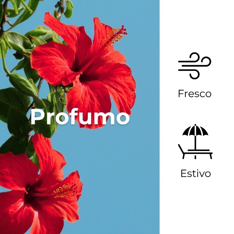 SOL Ibisco Argan - Spray solare - protegge ed esalta l'abbronzatura - con olio di Ibisco e olio di Argan - protezione alta SPF30 (200 ml)