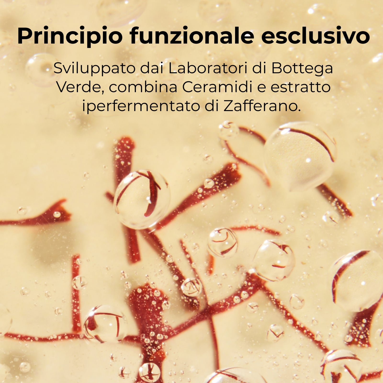 Pistilli di Zafferano - La crema oro - Ricarica Trattamento viso giorno e notte - antirughe antiet&agrave; globale 10 azioni - con SAFFRON-IDE PRO AGE<TM/> con Ceramidi e iperfermentato di Zafferano