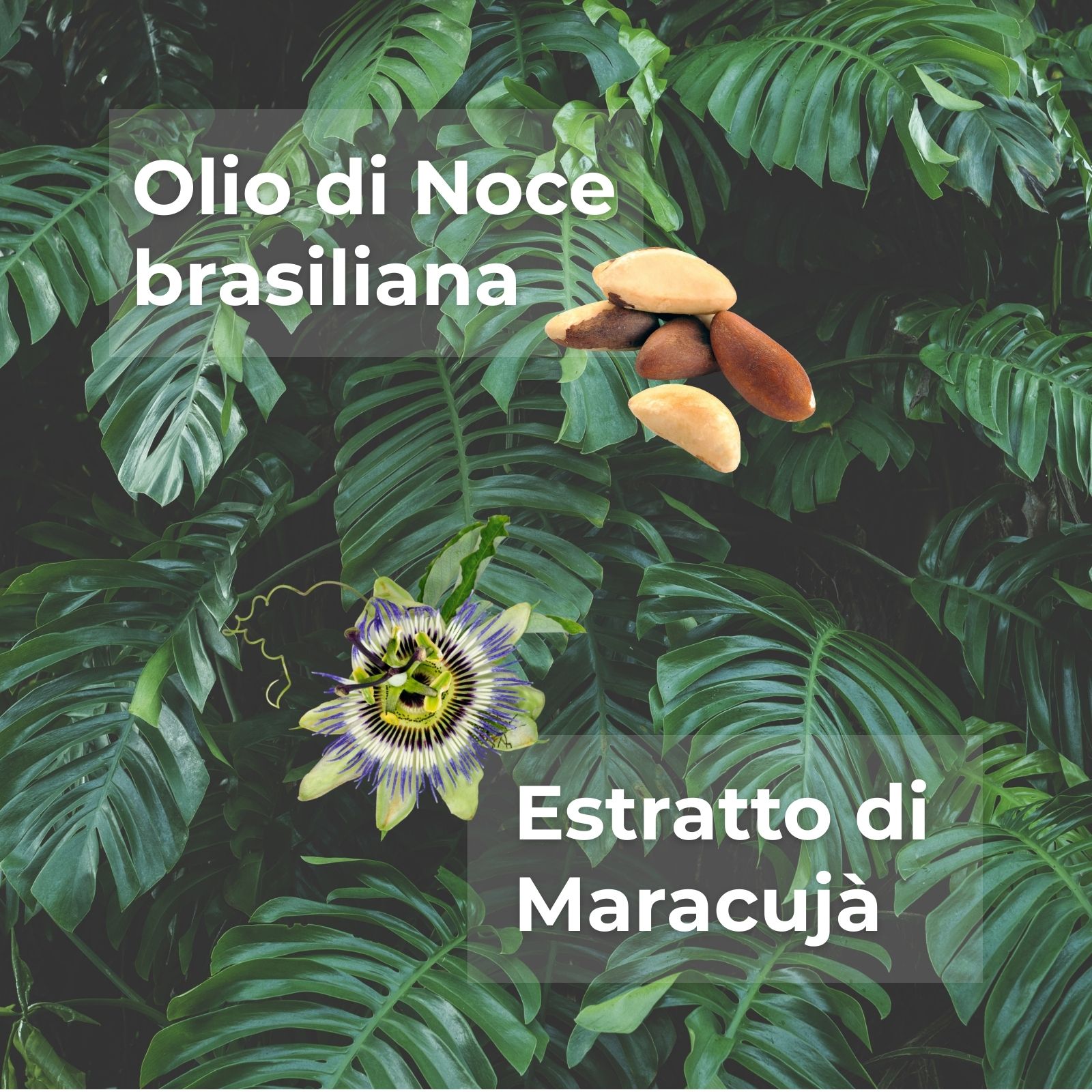 SOL Tropical - Gel&eacute;e fondente - abbronzatura dorata e uniforme - con olio di Noce brasiliana ed estratto di Maracuj&agrave; - senza filtri solari (200 ml)- prolunga l&iquest;abbronzatura