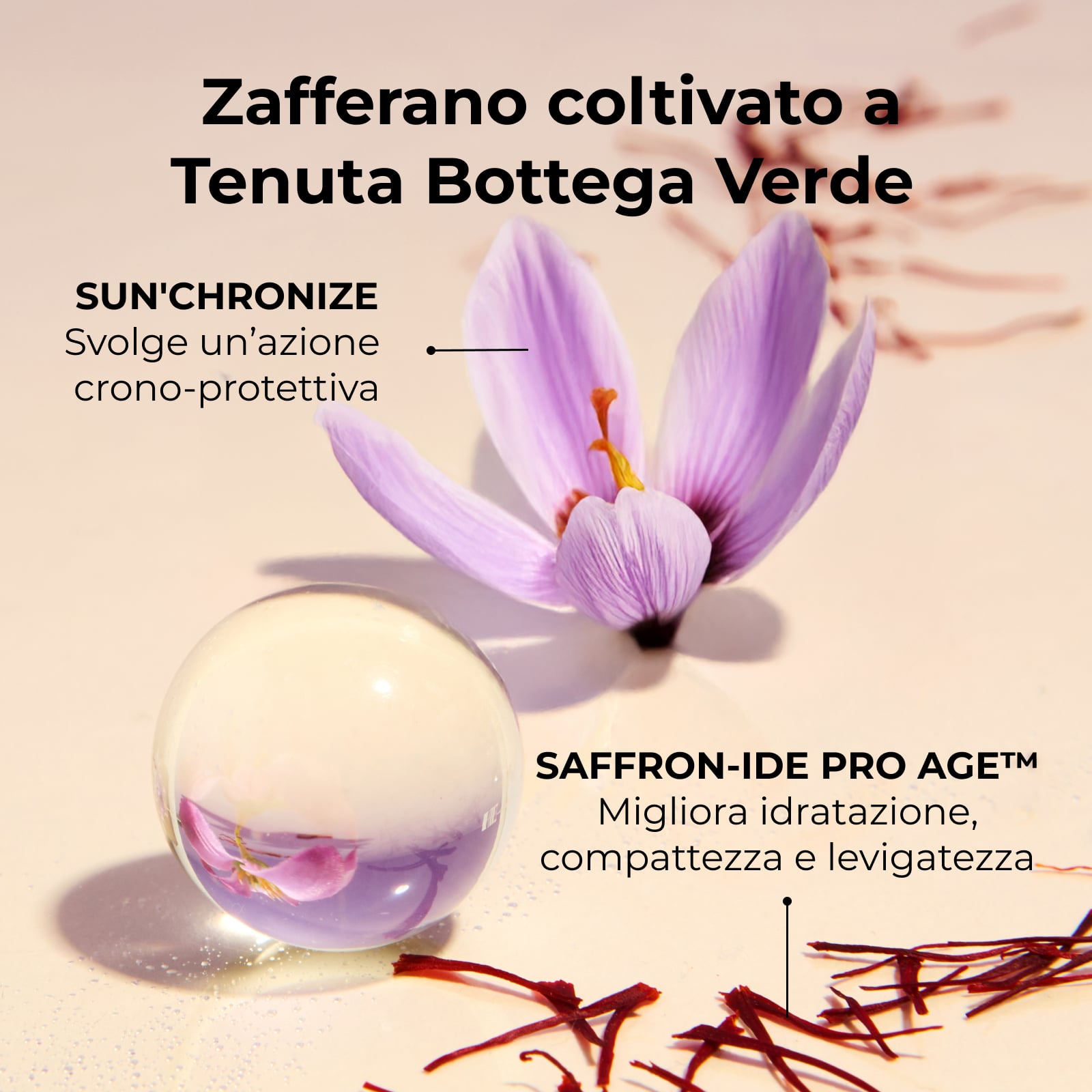 Pistilli di Zafferano - La crema oro - Ricarica Trattamento viso giorno e notte - antirughe antiet&agrave; globale 10 azioni - con SAFFRON-IDE PRO AGE<TM/> con Ceramidi e iperfermentato di Zafferano