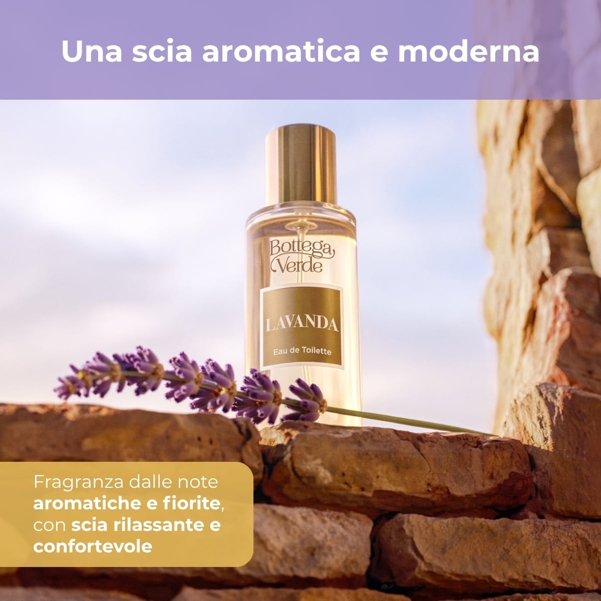 Lavanda - Eau de toilette