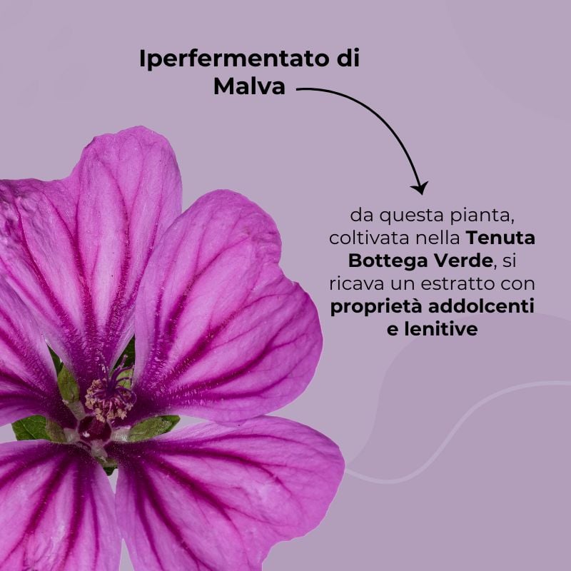Siero ampolla anti-rossori - concentrato viso - con 5% Anti-redness complex* e iperfermentato di Malva di Tenuta Bottega Verde - lenitivo