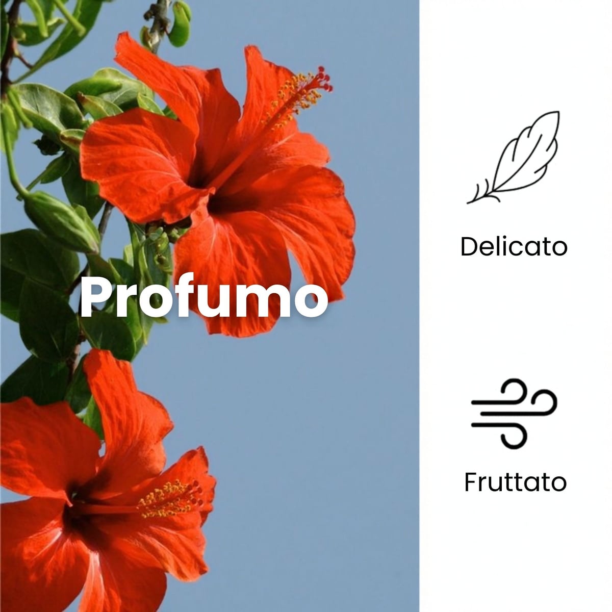 SOL Ibisco Argan - Crema solare - protegge ed esalta l'abbronzatura - con olio di Ibisco e olio di Argan - protezione media SPF20
