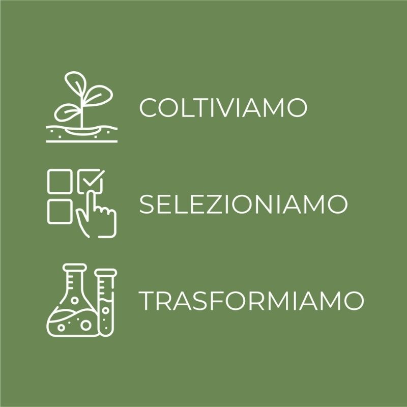 SOL Aloe Acido Ialuronico - Crema solare viso - super idratante - con succo di Aloe iperfermentato e Acido Ialuronico - protezione alta SPF50 - water resistant