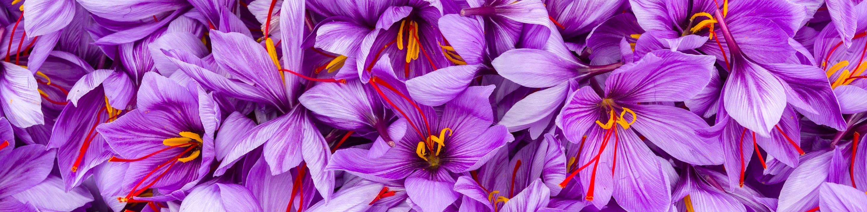 Saffron Threads