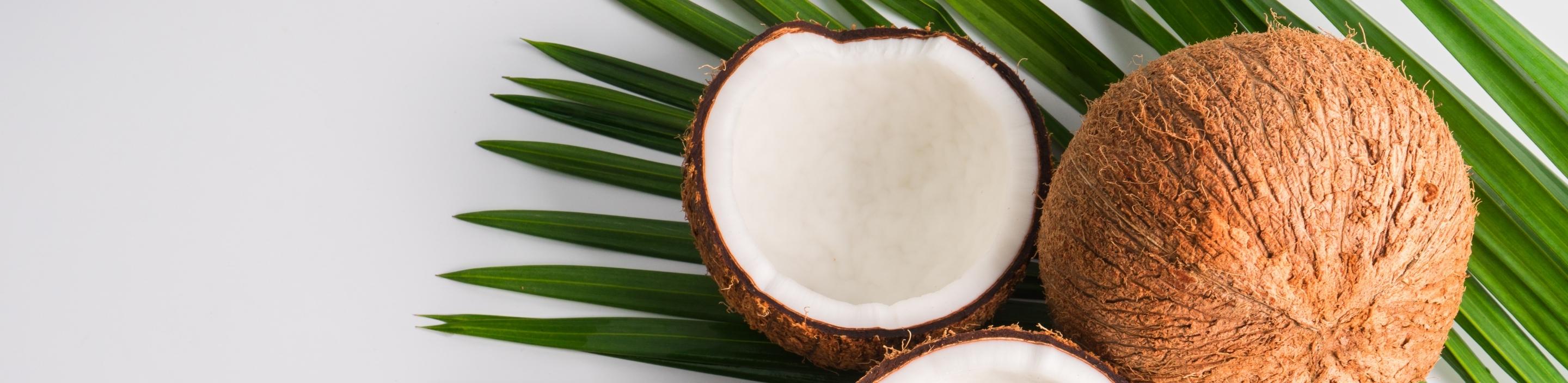 Coconut