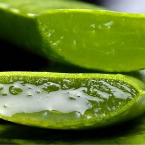 Sol aloe