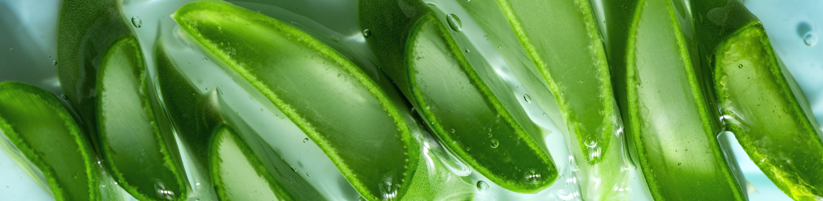 Sol Aloe and Hyaluronic Acid