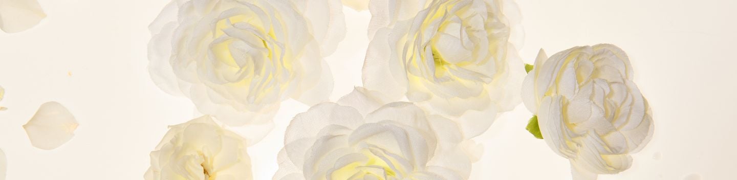 Camelia and Retinol