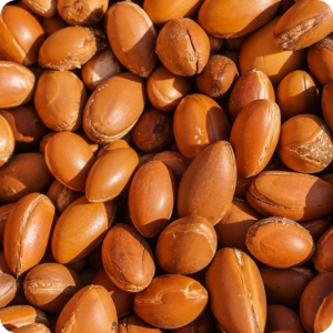 Argan